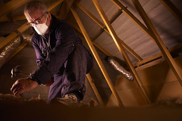 Types of Insulation We Offer in Darby, PA